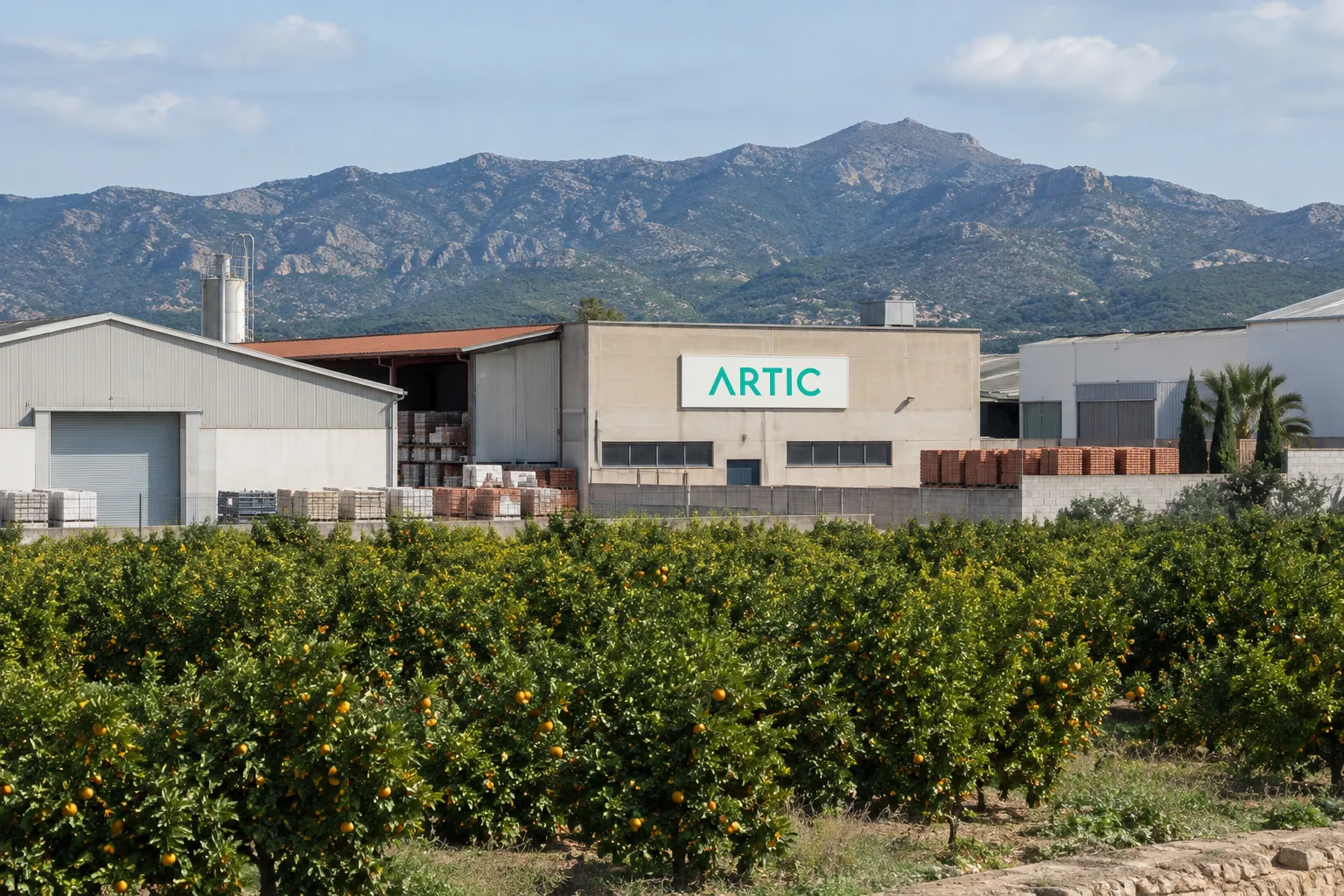 Empreses a Castelló: dades INE 2025, sectors i com vendre-hi