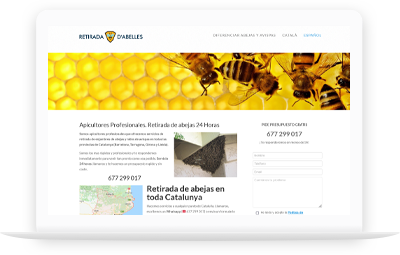 diseño web retirada abejas avispas Portafolio