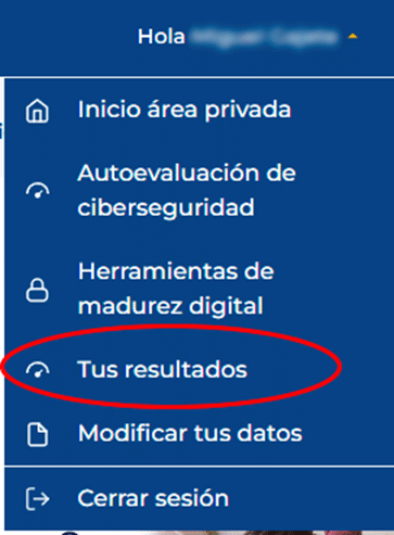 menu desplegable area privada acelera pyme Datos necesarios para obtener el Kit Digital