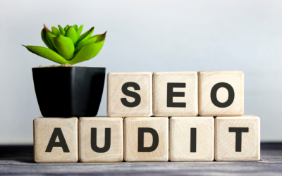 ¿Por qué necesitas una auditoría SEO para tu negocio online para el 2024?