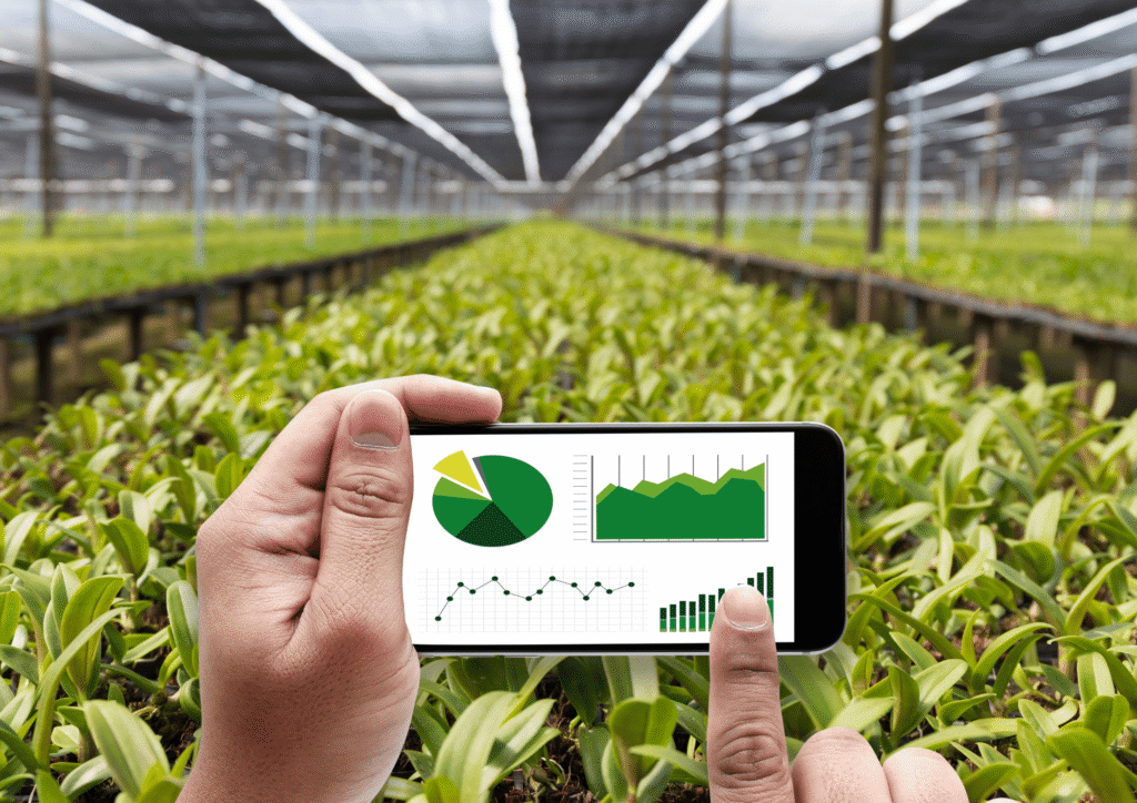 New call for applications for the Digital Kit for joint property associations, agricultural holdings, and civil societies! New call for applications for the Digital Kit New call for applications for the Digital Kit New call for applications for the Digital Kit for joint property communities, agricultural holdings, and civil societies!